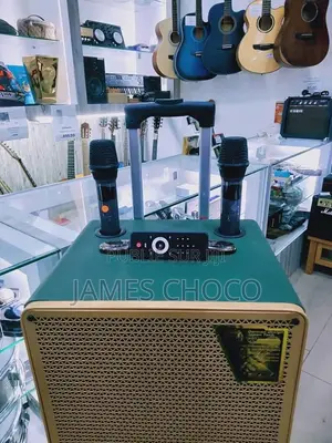 Lige - 126 12 Inch Portable Bluetooth Speaker