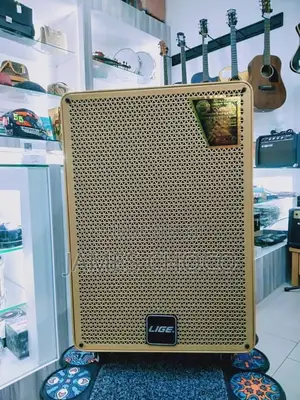 Lige - 126 12 Inch Portable Bluetooth Speaker