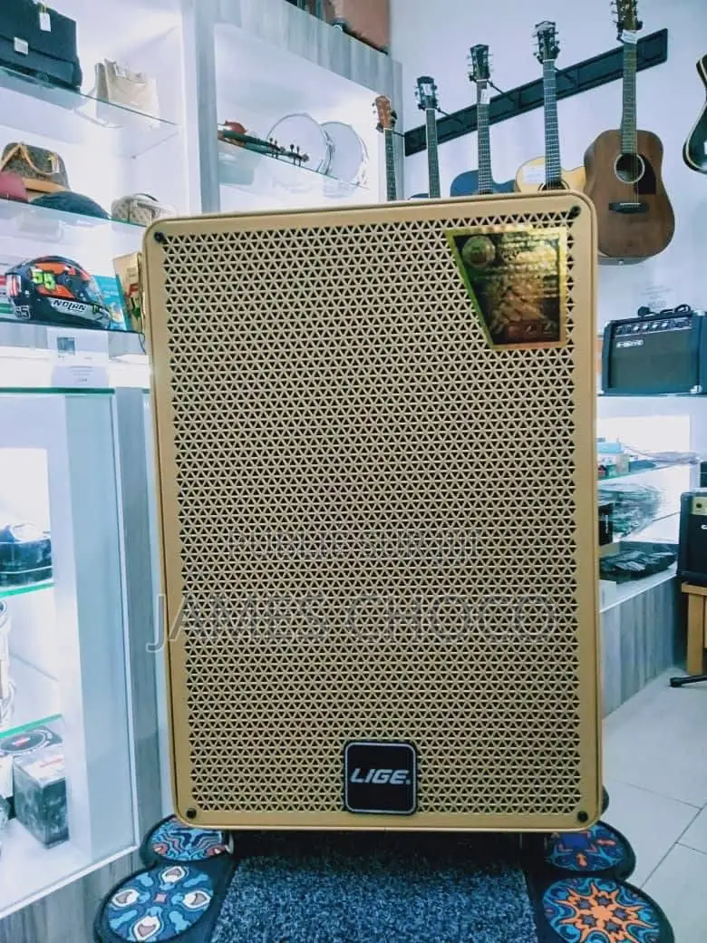 Lige - 126 12 Inch Portable Bluetooth Speaker