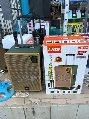 Lige - 126 12 Inch Portable Bluetooth Speaker