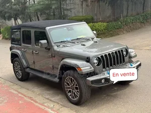 Jeep Wrangler 2023 Gris