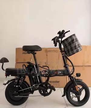 Vélo Électrique