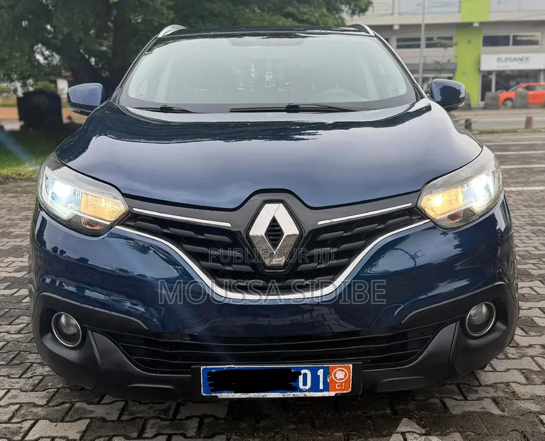 Renault Kadjar 2018 Bleu