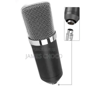 Microphone À Condensateur Audio De Studio