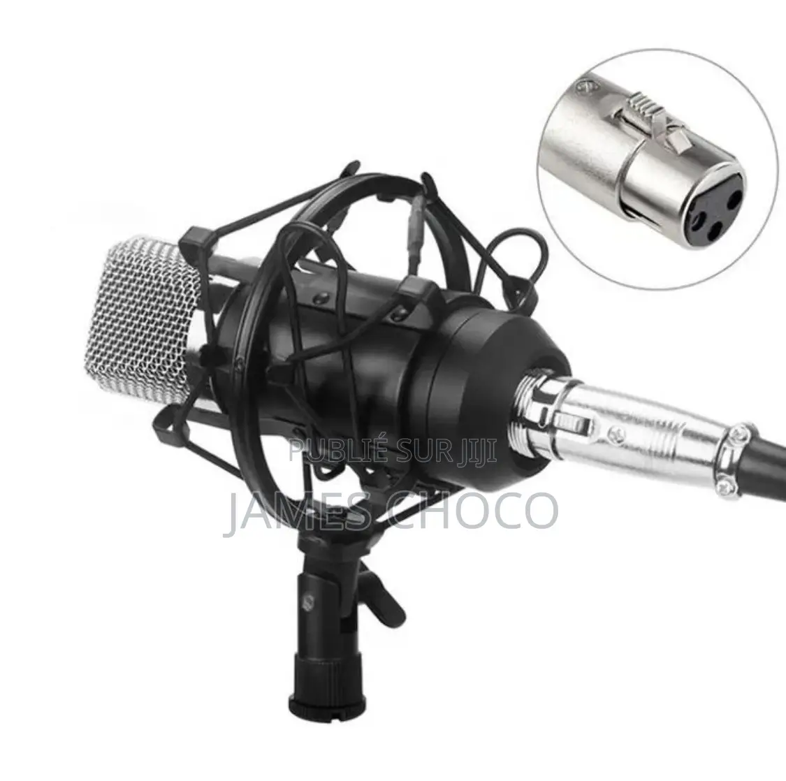 Microphone À Condensateur Audio De Studio