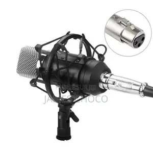 Microphone À Condensateur Audio De Studio