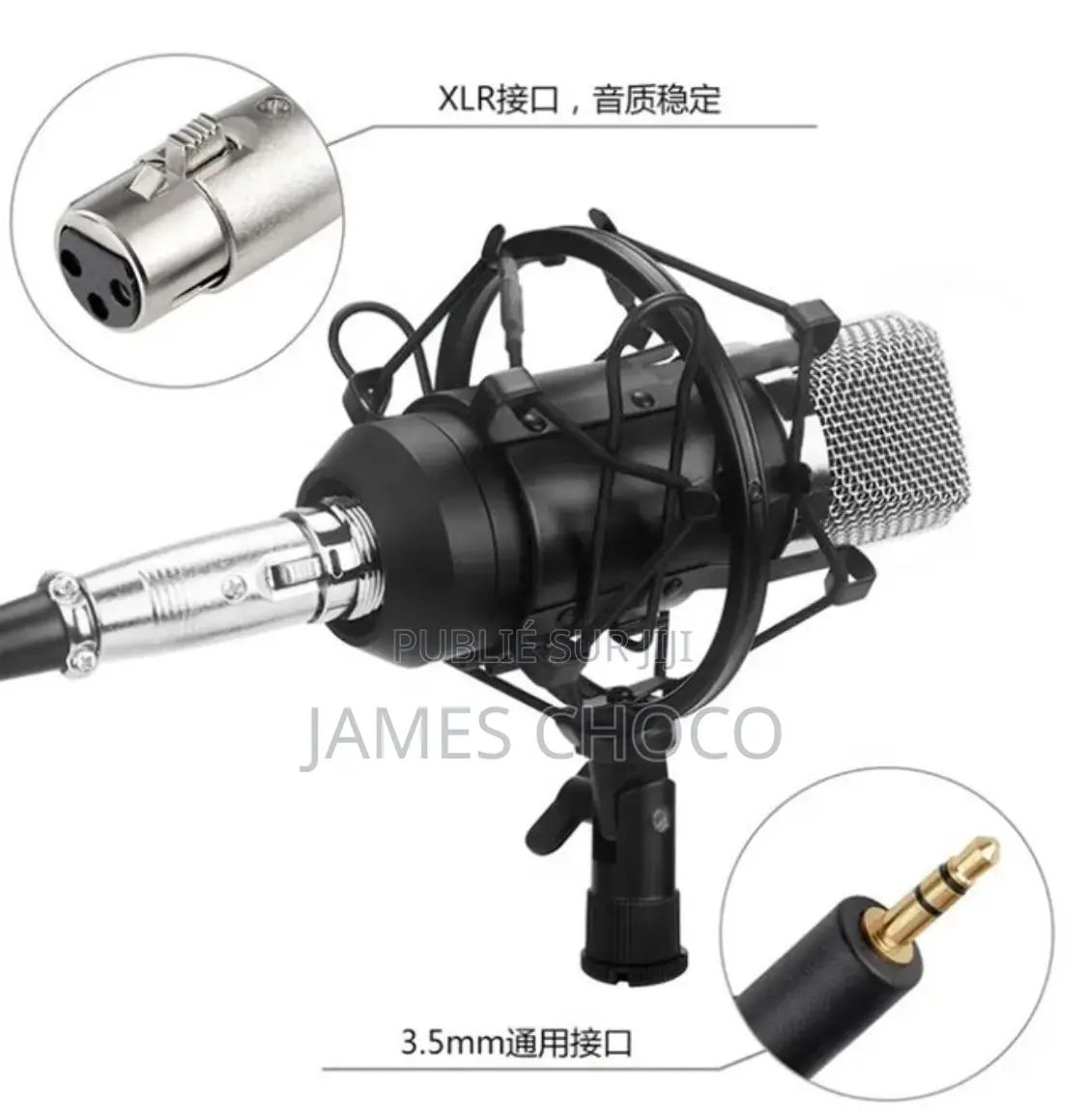 Microphone À Condensateur Audio De Studio