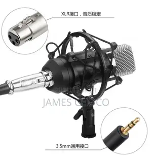 Microphone À Condensateur Audio De Studio