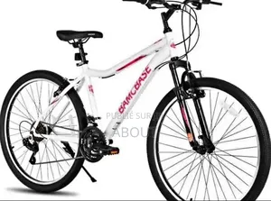 Vélo Électrique