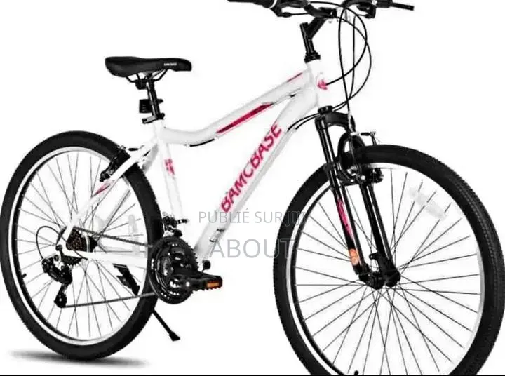 Vélo Électrique