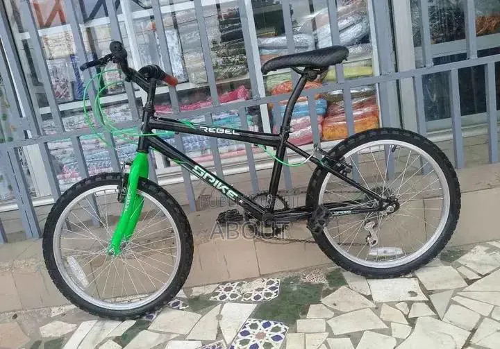 Vélo Électrique