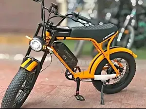 Vélo Électrique