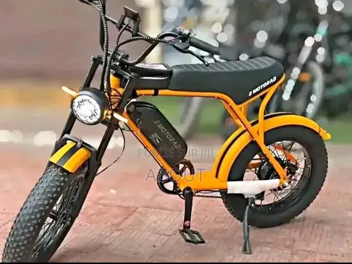 Vélo Électrique