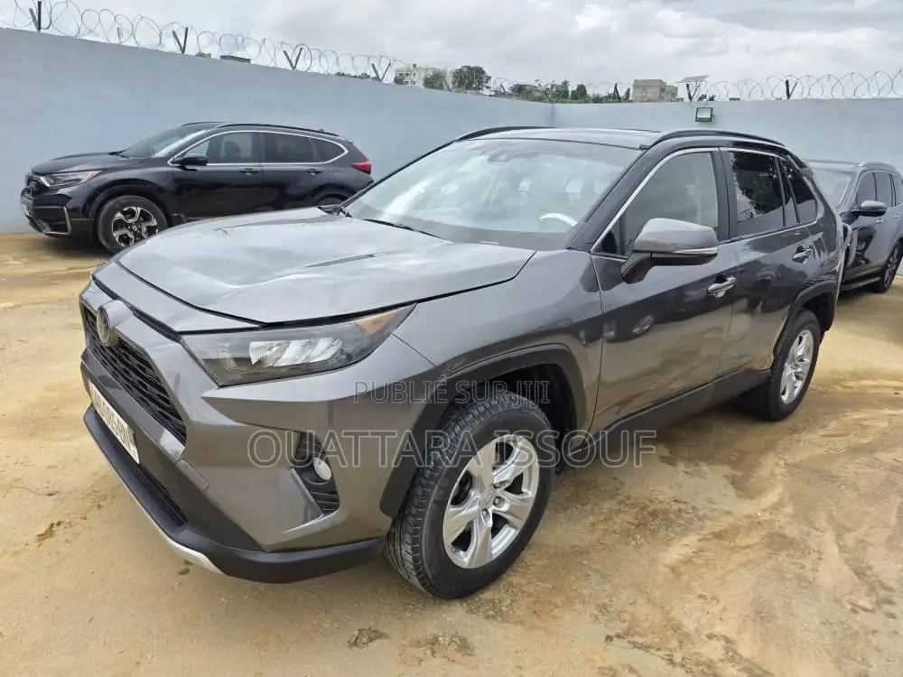 Toyota RAV4 Limited AWD 2020 Gris