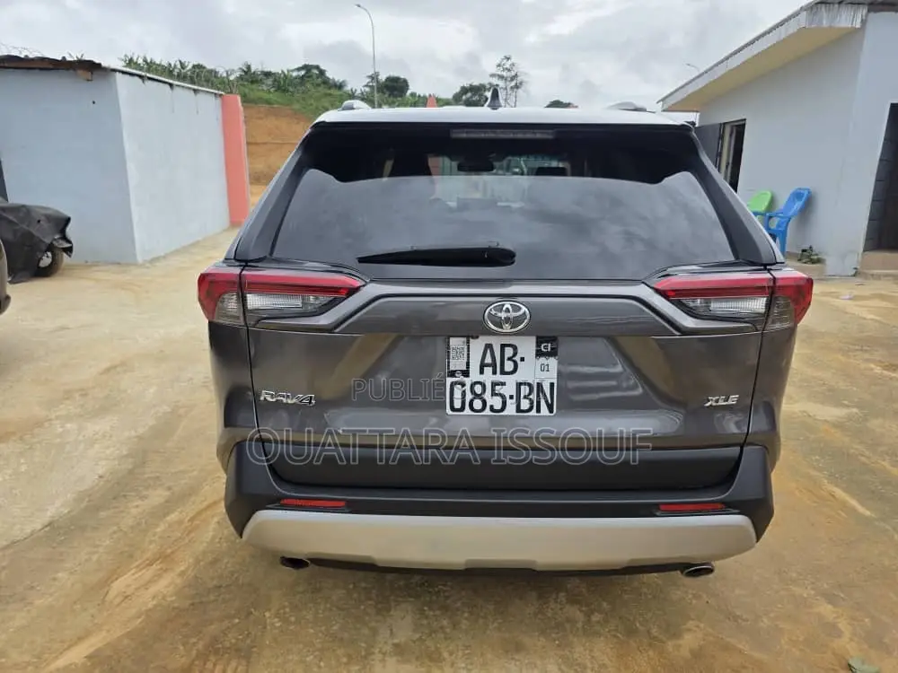 Toyota RAV4 Limited AWD 2020 Gris