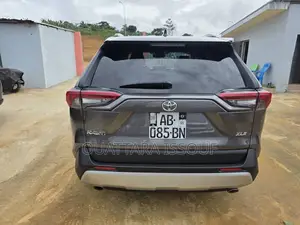 Toyota RAV4 Limited AWD 2020 Gris