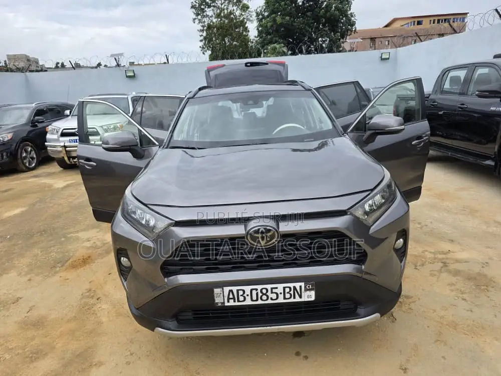 Toyota RAV4 Limited AWD 2020 Gris