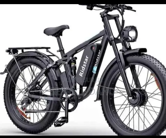 Vélo Électrique