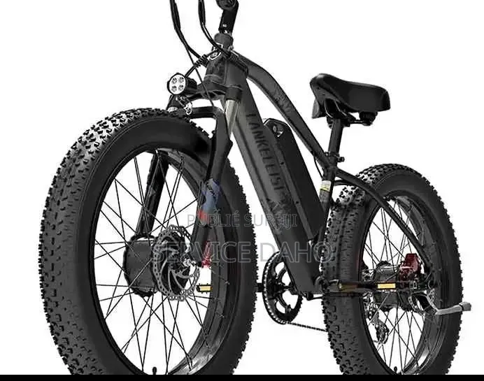 Vélo Électrique