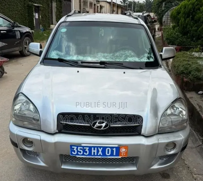 Hyundai Tucson 2006 Beige