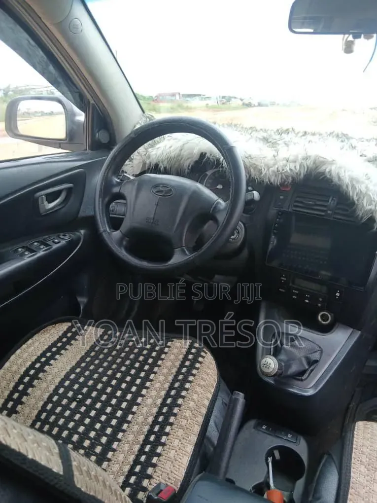 Hyundai Tucson 2006 Beige