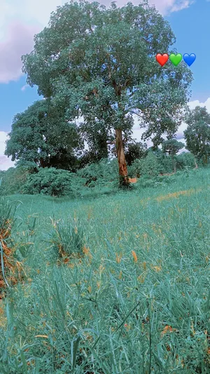 Terrain À Vendre À Brofodoumé 14 Km d'Abidjan Sur La Route d'Alépé