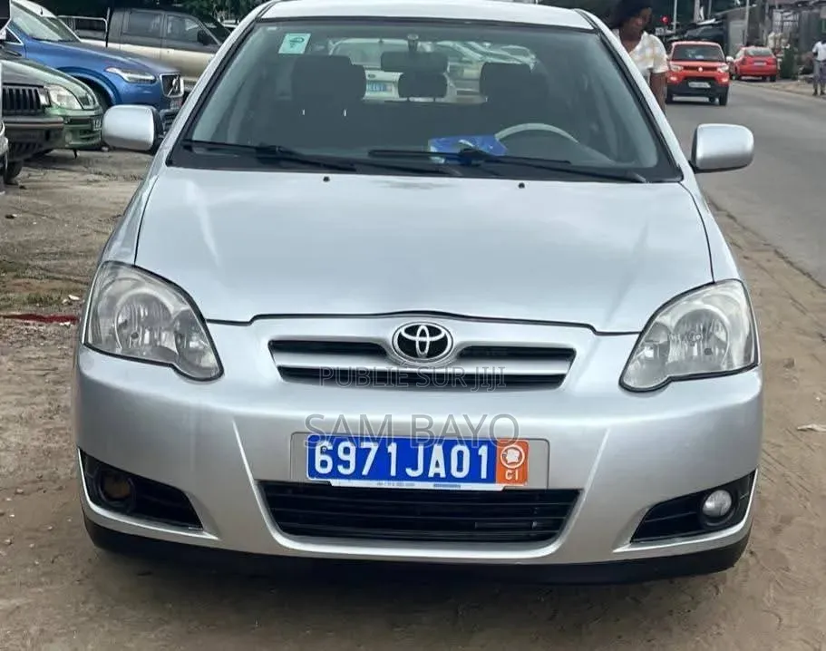 Toyota Corolla 2004 Gris