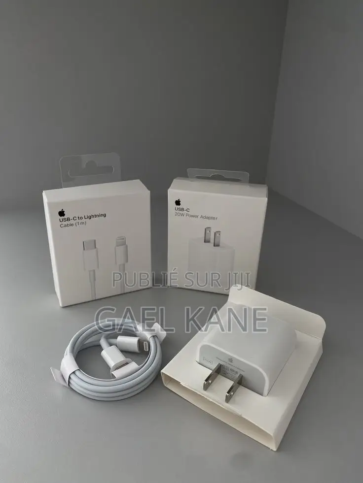 Chargeur iPhone