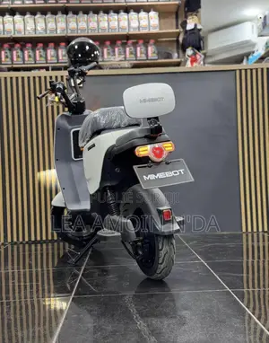 Moto Électrique