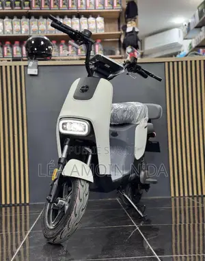 Moto Électrique