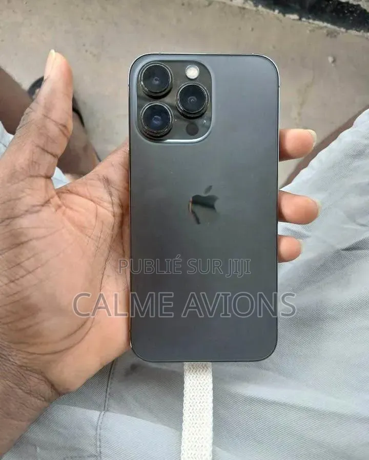 Nouveau Apple iPhone 13 Pro Max 256 GB Autre