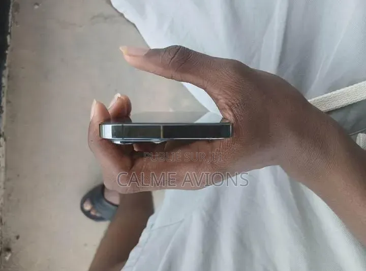 Nouveau Apple iPhone 13 Pro Max 256 GB Autre