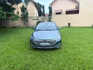 Hyundai Elantra 2019 Gris