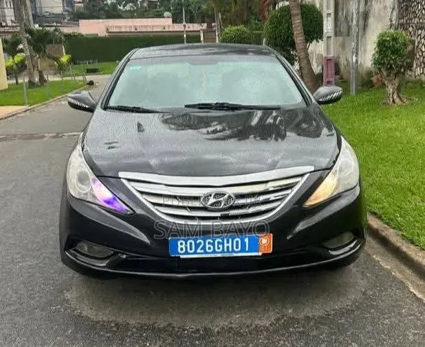 Hyundai Sonata 2010 Gris