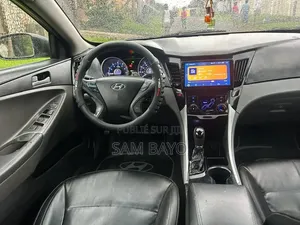 Hyundai Sonata 2010 Gris