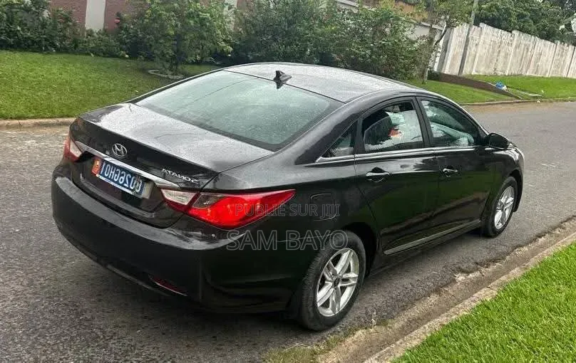 Hyundai Sonata 2010 Gris