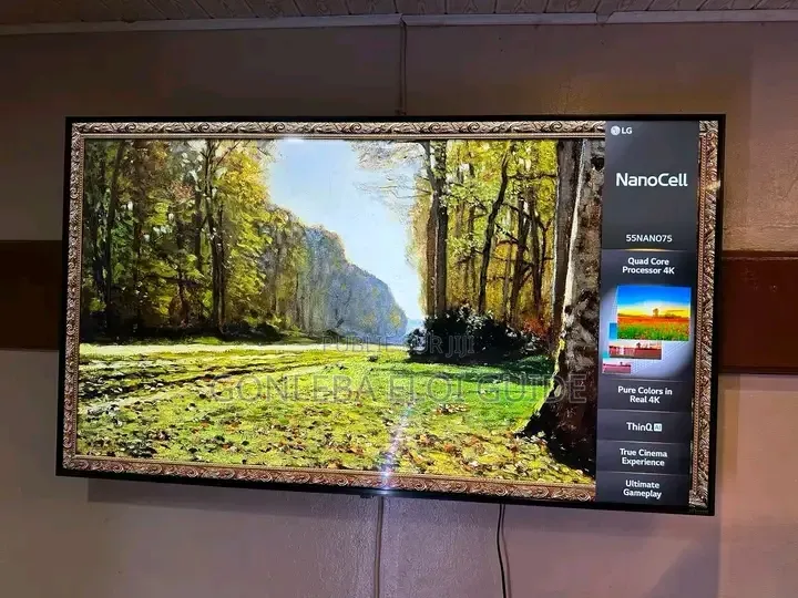 Télévision Smart 50 Pouces