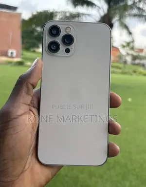 Apple iPhone 12 Pro Max 256 GB Gris
