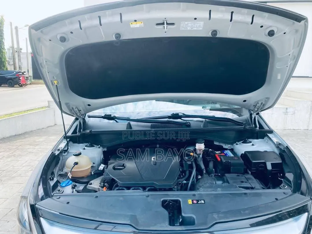 Kia Sportage 2024 Gris