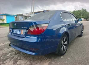 BMW 5 Series 2005 Bleu