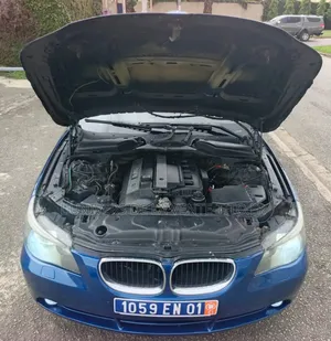 BMW 5 Series 2005 Bleu