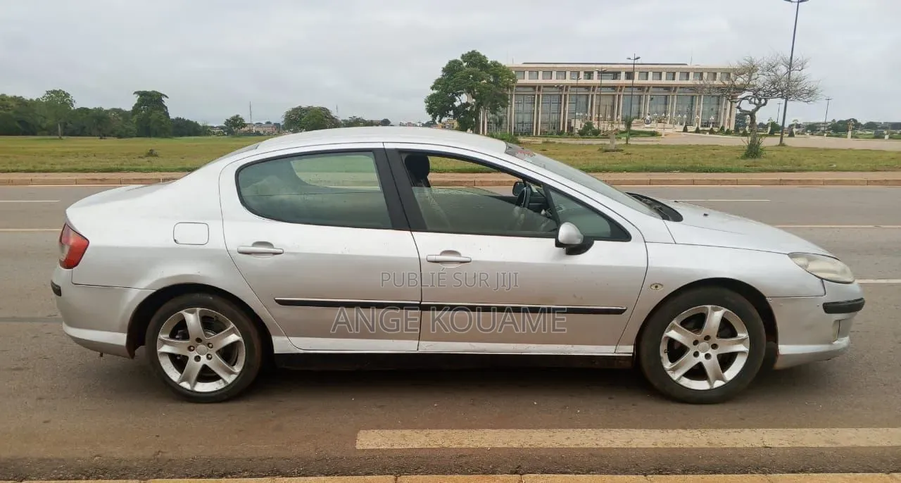 Peugeot 407 2004 Gris