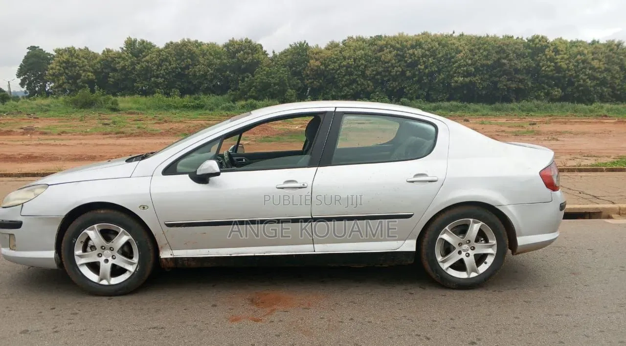 Peugeot 407 2004 Gris