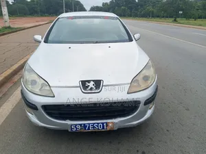 Peugeot 407 2004 Gris