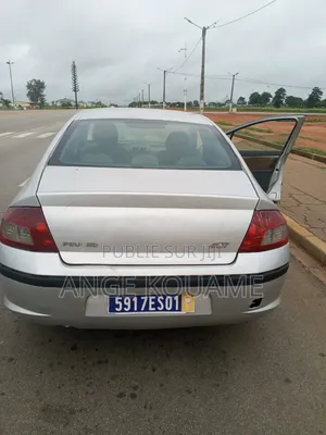 Peugeot 407 2004 Gris