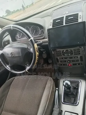 Peugeot 407 2004 Gris
