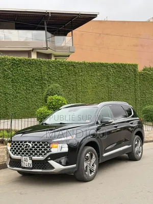 Hyundai Santa Fe 2022 Noir