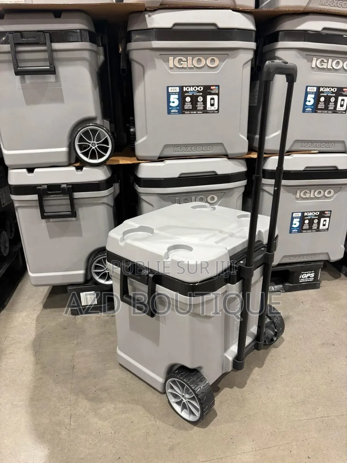 Glacière Igloo Maxcold 59 Litres