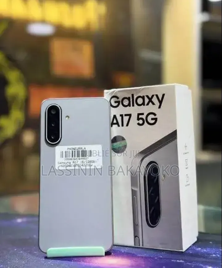 Samsung Galaxy A17 256 GB Argenté