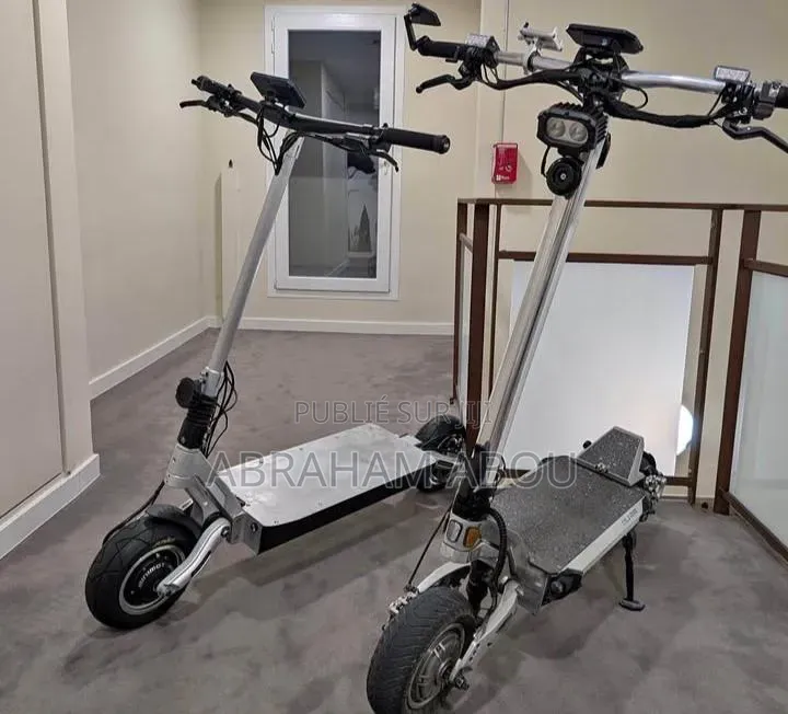 Trottinette Électrique